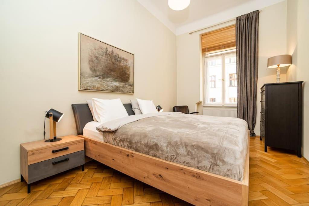 Large And Modern Apartment In The Heart Of プラハ エクステリア 写真