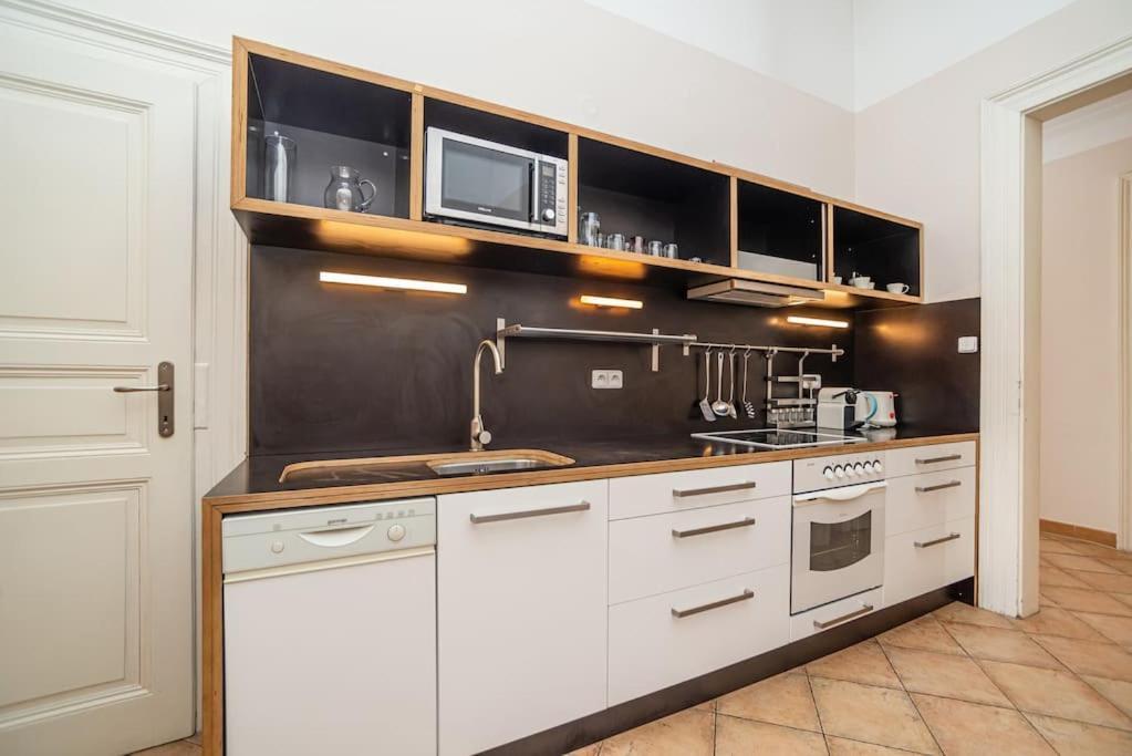 Large And Modern Apartment In The Heart Of プラハ エクステリア 写真