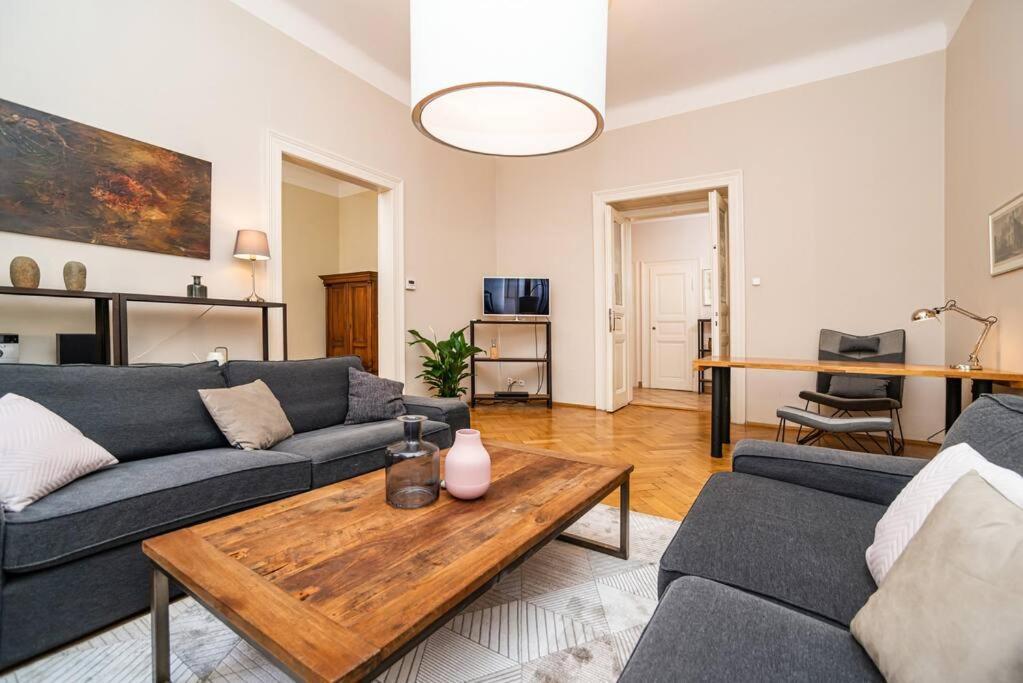 Large And Modern Apartment In The Heart Of プラハ エクステリア 写真