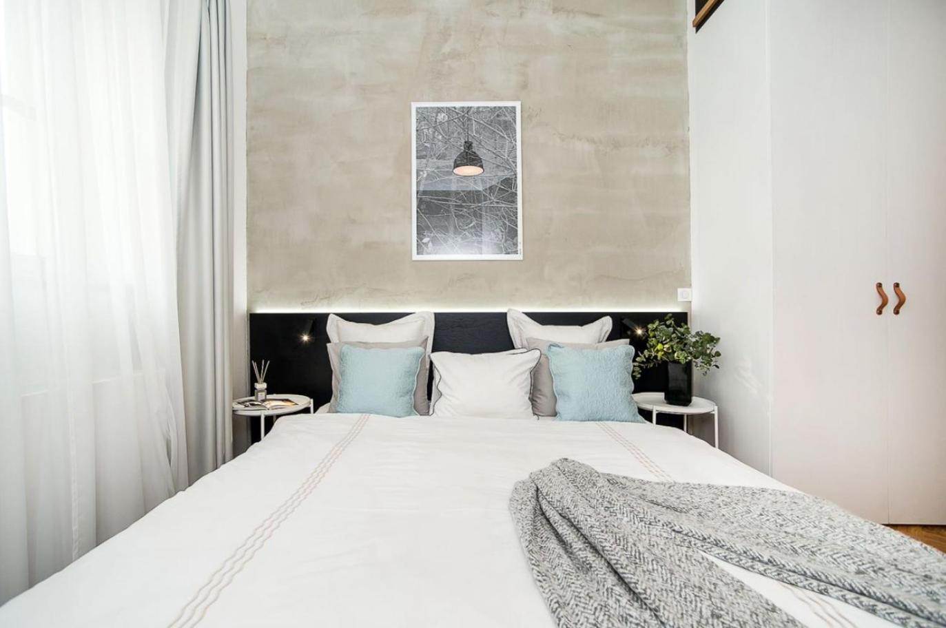Large And Modern Apartment In The Heart Of プラハ エクステリア 写真